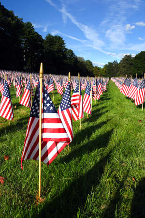 Field of American Flags 
のeditorial素材