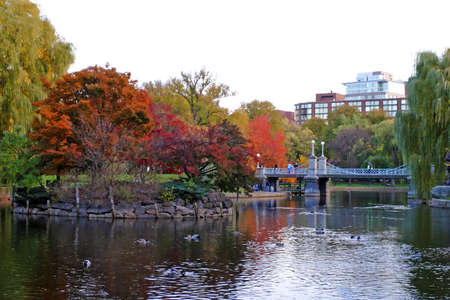 Stock image of fall foliage at Boston Public Gardenの写真素材