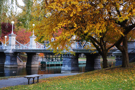 Stock image of fall foliage at Boston Public Gardenの写真素材