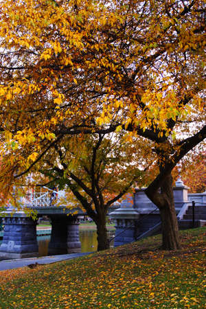 Stock image of fall foliage at Boston Public Gardenの写真素材