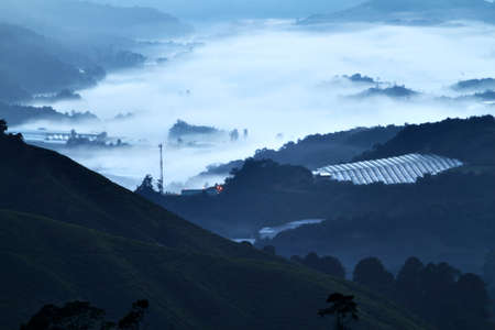 Tea plantation at the Cameron Highland, Malaysiaの写真素材