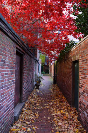 Beacon Hill is a wealthy neighborhood of Federal-style rowhouses, with some of the highest property...