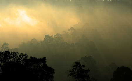 Stock image of foggy landscape