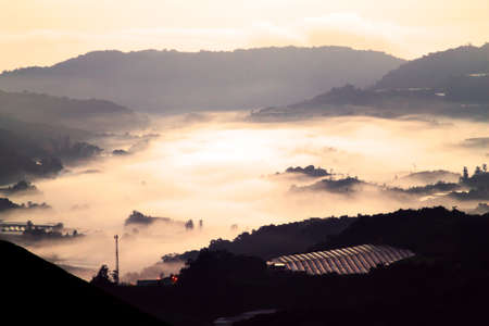 Tea plantation at the Cameron Highland, Malaysiaの写真素材