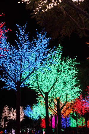 Rows of colorful LED trees decorationの写真素材