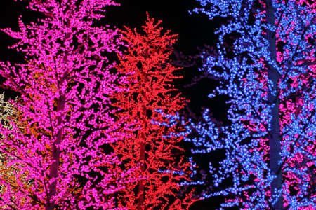 Rows of colorful LED trees decoration