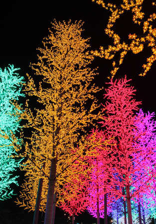Rows of colorful LED trees decorationの写真素材
