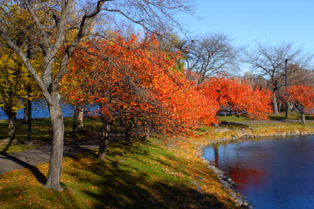 Stock image of fall foliage at Bostonの写真素材