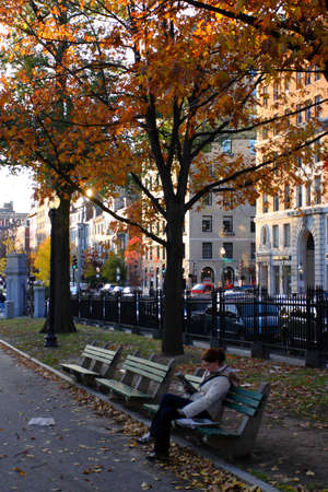 Stock image of fall foliage at Boston Public Gardenのeditorial素材