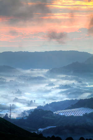 Tea plantation at the Cameron Highland, Malaysiaの写真素材