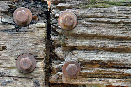 Old log cut off texture close-upの写真素材