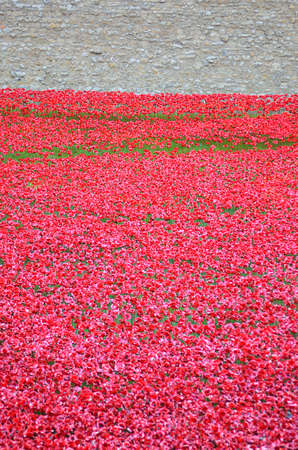 Tower of London with sea of Red Poppies to remember the fallen soldiers of WWI - 30th August 2014 - London, UKのeditorial素材