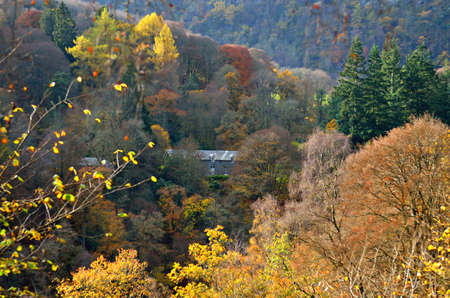 Colorful scenic view of the Scottish highlands in summerの写真素材