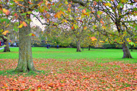 Breath-taking panoramic scenic view of London cityscape seen from beautiful Primrose Hill in St. Regents parkのeditorial素材