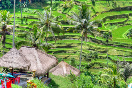 Ubud palace, Bali, Indonesiaのeditorial素材