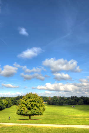 Wollaton park Nottingham Nottingham, UK, Englandの写真素材