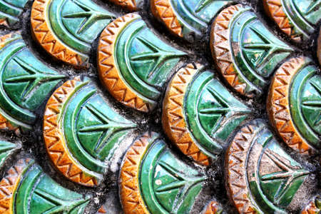 Scales of King of Nagasの写真素材