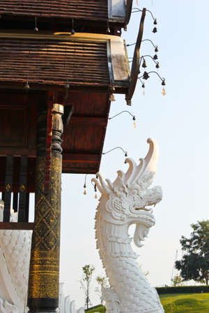 White nagasの写真素材