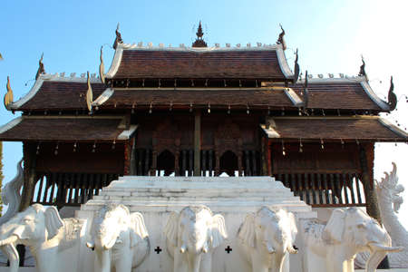 White elephantsの写真素材