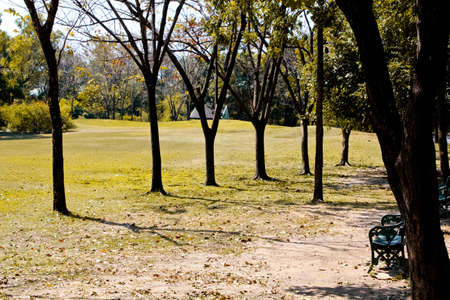 Parkの写真素材