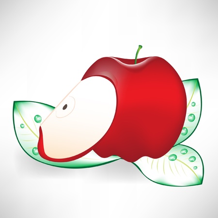 red apple and slice on leavesのイラスト素材