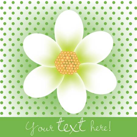 flower cardのイラスト素材