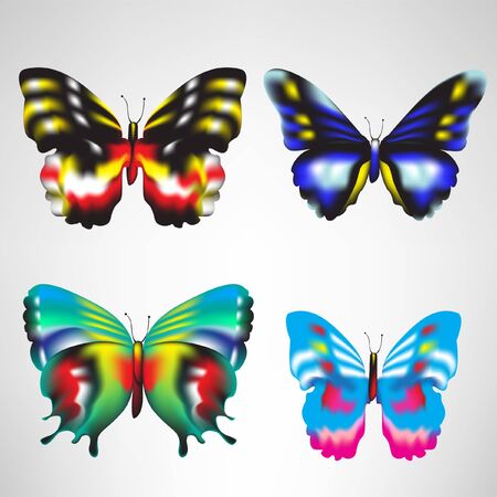 four butterfliesのイラスト素材
