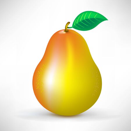 pearのイラスト素材