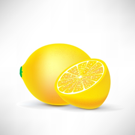 lemon and half of lemonのイラスト素材