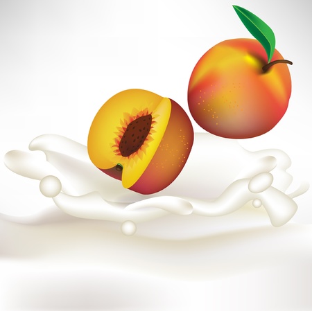 cream splash with apricot fallingのイラスト素材