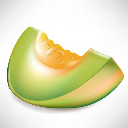 slice of melon isolated on whiteのイラスト素材