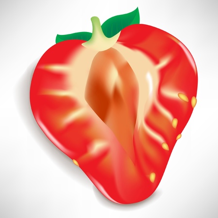 half of strawberry piece isolated on whiteのイラスト素材