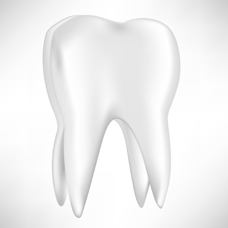 single tooth isolated on white backgroundのイラスト素材