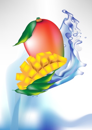 mango fruit and slices in splash of water isolatedのイラスト素材