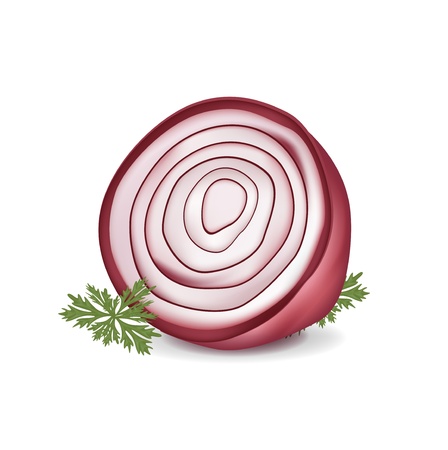 cut in half red onion isolated on whiteのイラスト素材
