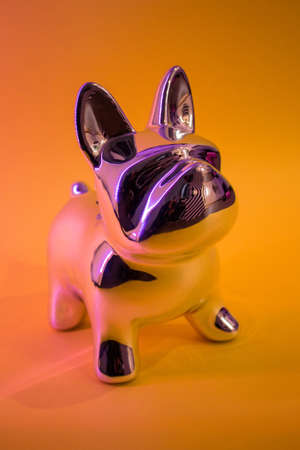 Chrome French Bulldog on a yellow backgroundの写真素材