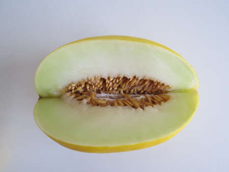 Honeydew melon on a plain backgroundの写真素材