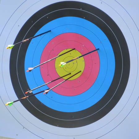 Close up of an archery target.