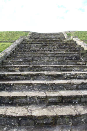 Stone steps up a grass embankment.