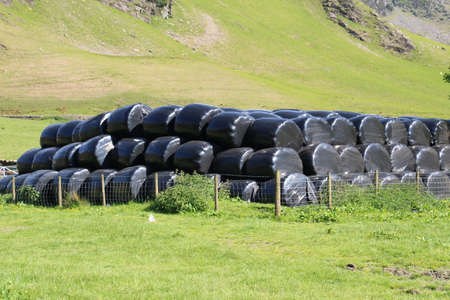 Hay bales covered in plastic to prevent destruction by the English weather in the Lake District.の写真素材