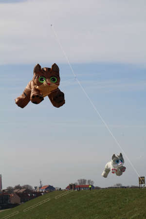 Kite flying in Den Helder, Netherlands.の写真素材