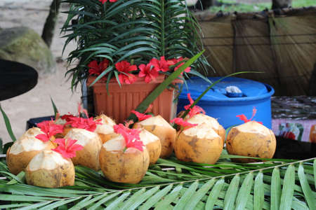 Coconut drinks for sale at a beachside stall in Beau Vallon on Mahe Island in the Seychelles.
