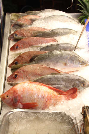 Fish for sale in Hua Hin night market, Thailand.