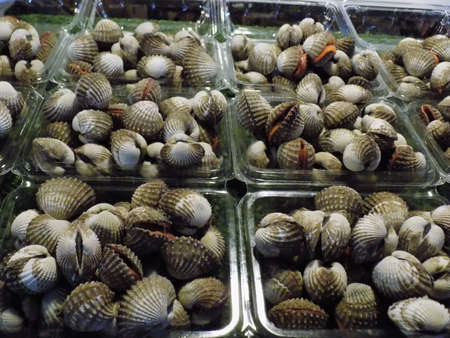 Cockles for sale at a Bangkok night market.