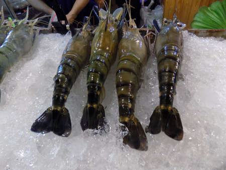Tiger prawns on display in the Hau Hin night market, Thailand.の写真素材