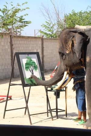 Elephant painting a picture of a tree in Thailand. These paintings are sold to tourists to help pay for the elephants food.の写真素材