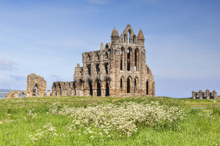 Whitby Abbey and Wildflowersの写真素材