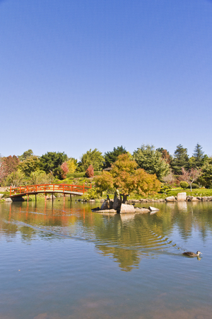 Japanese Garden, Toowoomba, Queensland, Australiaの写真素材