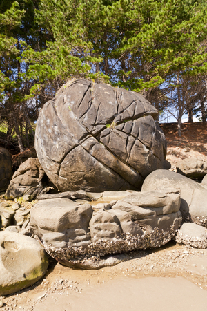 Koutu Beach Concretions New Zealandの写真素材