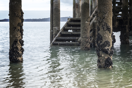 Jetty Steps Maraetai Beach Auckland New Zealandの写真素材